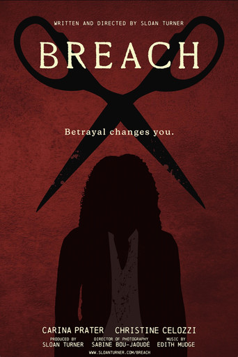 Póster de Breach