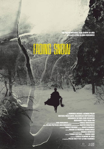 Póster de Ostatnie śniegi