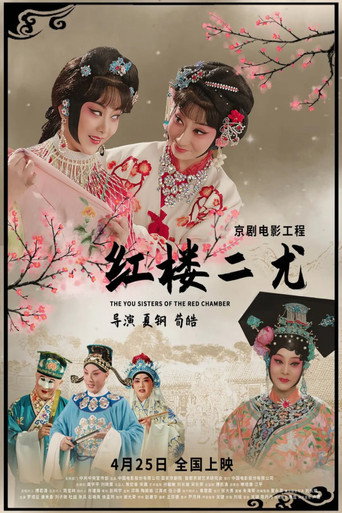 Póster de 红楼二尤