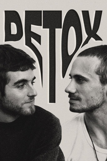 Póster de Detox