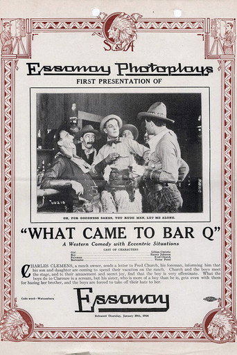 Póster de What Came to Bar Q