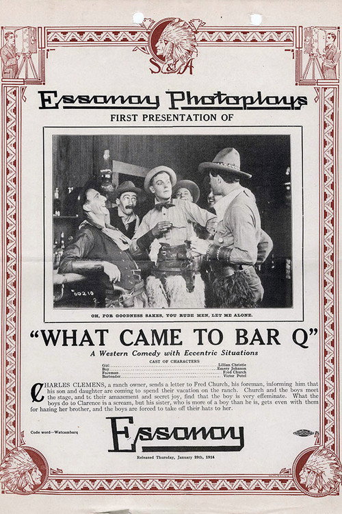 Póster de What Came to Bar Q