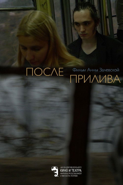 Póster de После прилива