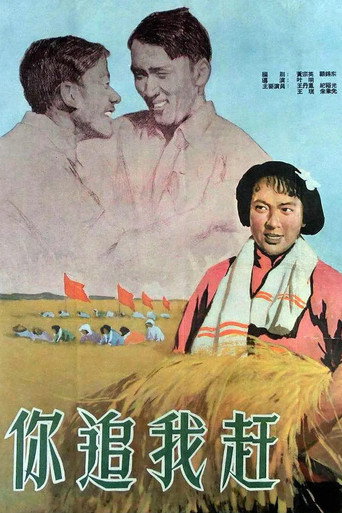 Póster de 你追我赶
