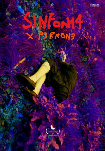 Póster de SINFON14