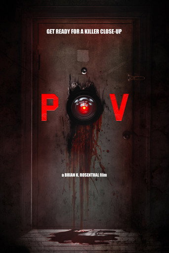 Póster de POV