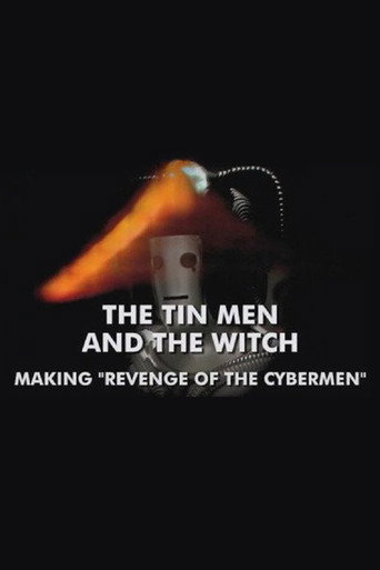 Póster de The Tin Men and the Witch
