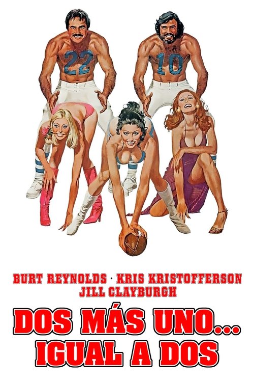 Póster de Semi-Tough