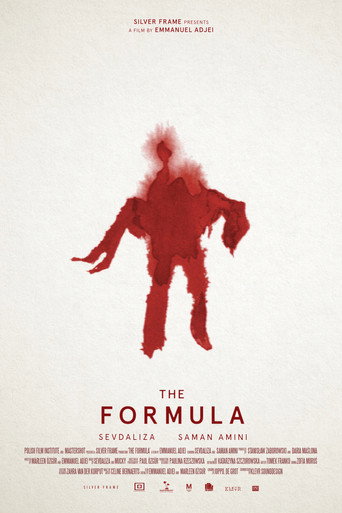 Póster de The Formula