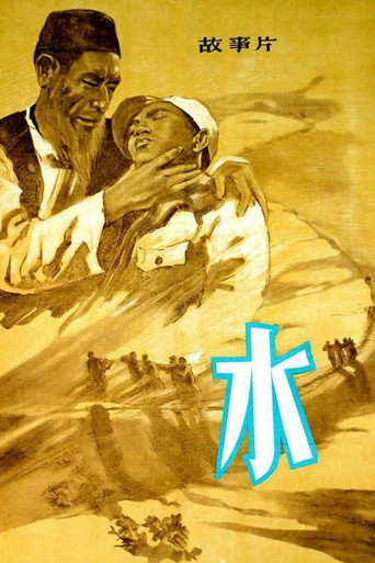 Póster de 水