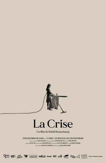 Póster de La Crise