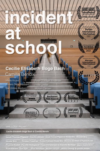 Póster de Incident at School