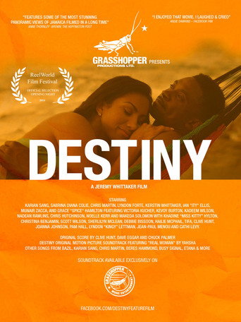 Póster de Destiny