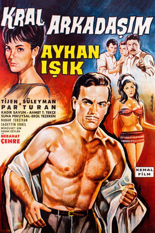Póster de Kral Arkadaşım