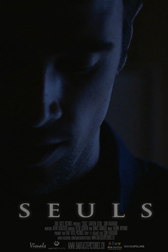 Póster de Seuls