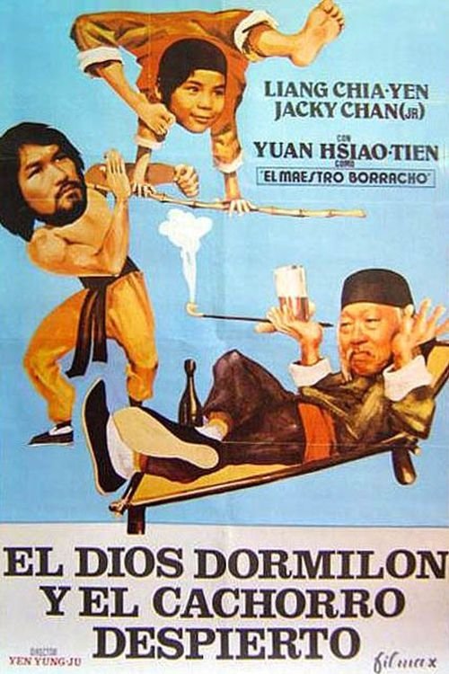 Póster de 睡拳怪招