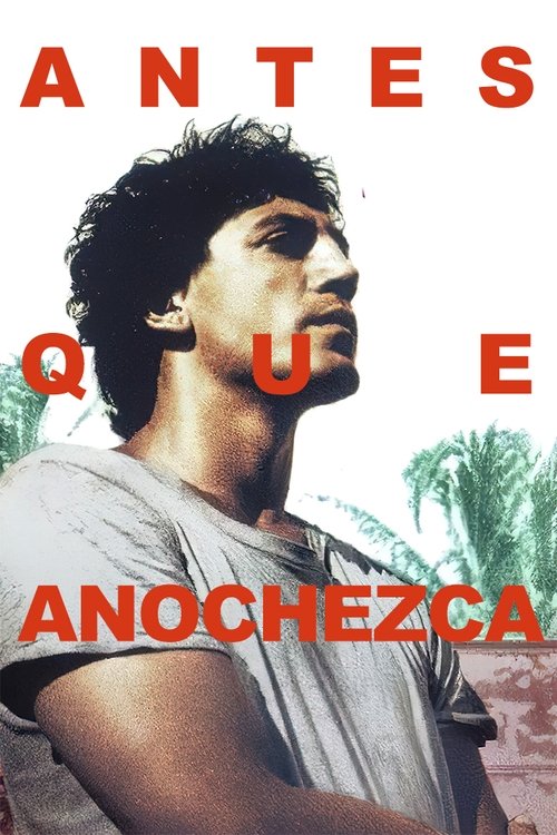 Póster de Before Night Falls