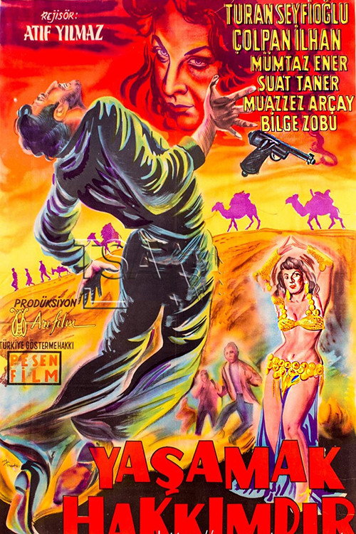 Póster de Yaşamak Hakkımdır
