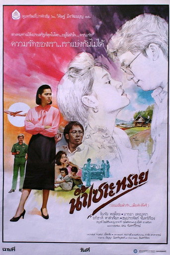 Póster de น้ำเซาะทราย