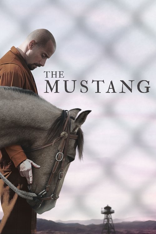 Póster de Mustang: La rehabilitación