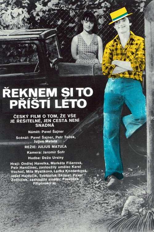 Póster de Řeknem si to příští léto