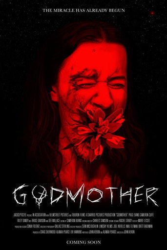 Póster de Godmother