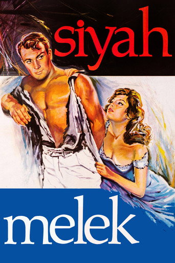 Póster de Siyah Melek