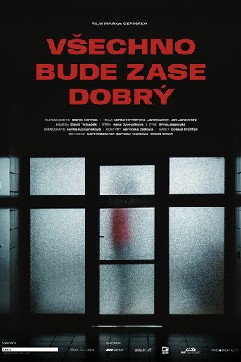 Póster de Všechno bude zase dobrý