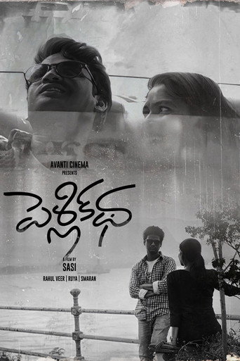 Póster de పెళ్లి కధ