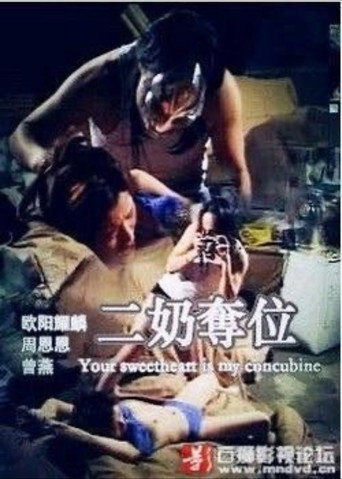 Póster de 二奶奪位