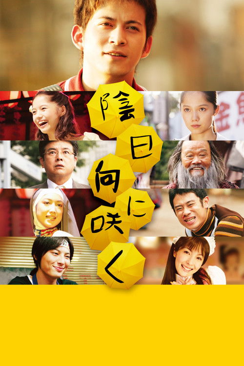 Póster de 陰日向に咲く