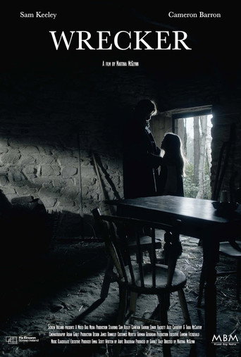 Póster de Wrecker