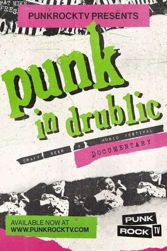 Póster de Punk in Drublic Documentary