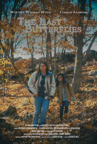 Póster de The Last Butterflies