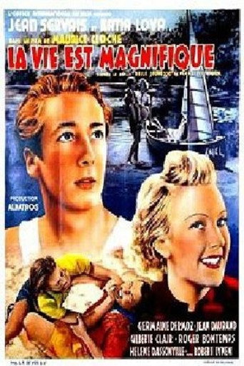 Póster de La vie est magnifique