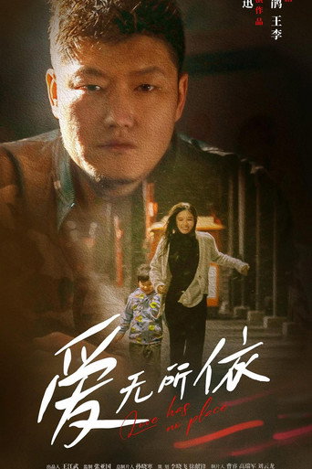 Póster de 爱无所依