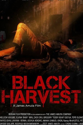 Póster de Black Harvest