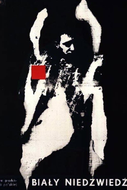 Póster de Biały niedźwiedź