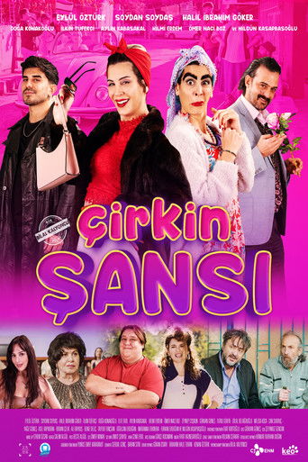 Póster de Çirkin Şansı