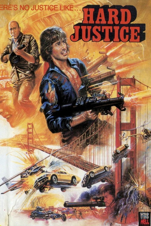 Póster de Hard Justice