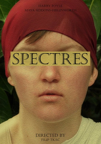 Póster de Spectres