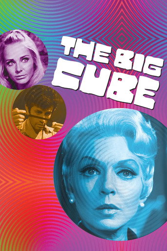 Póster de The Big Cube