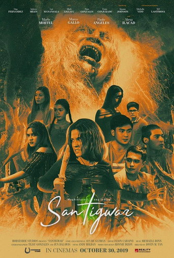 Póster de Santigwar
