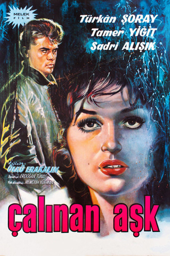 Póster de Çalınan Aşk