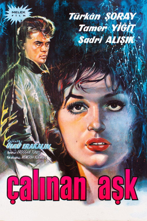 Póster de Çalınan Aşk