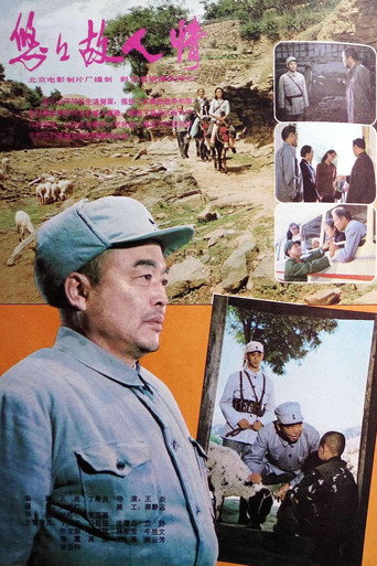 Póster de 悠悠故人情