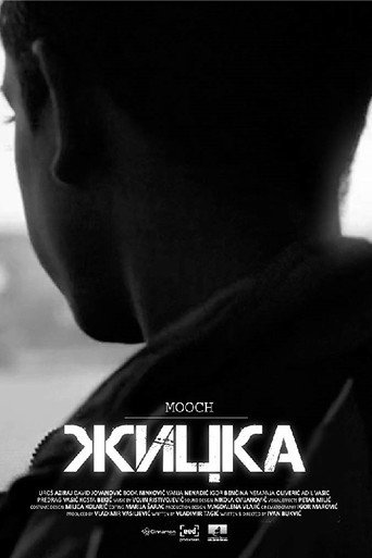Póster de Žicka