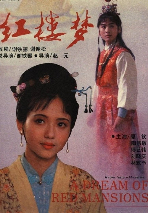 Póster de 红楼梦