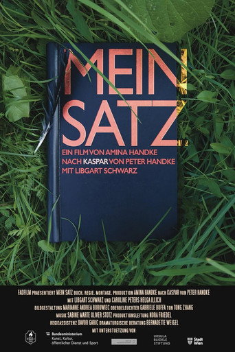 Póster de Mein Satz