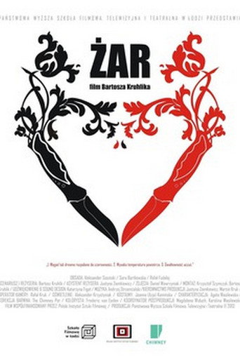 Póster de Żar